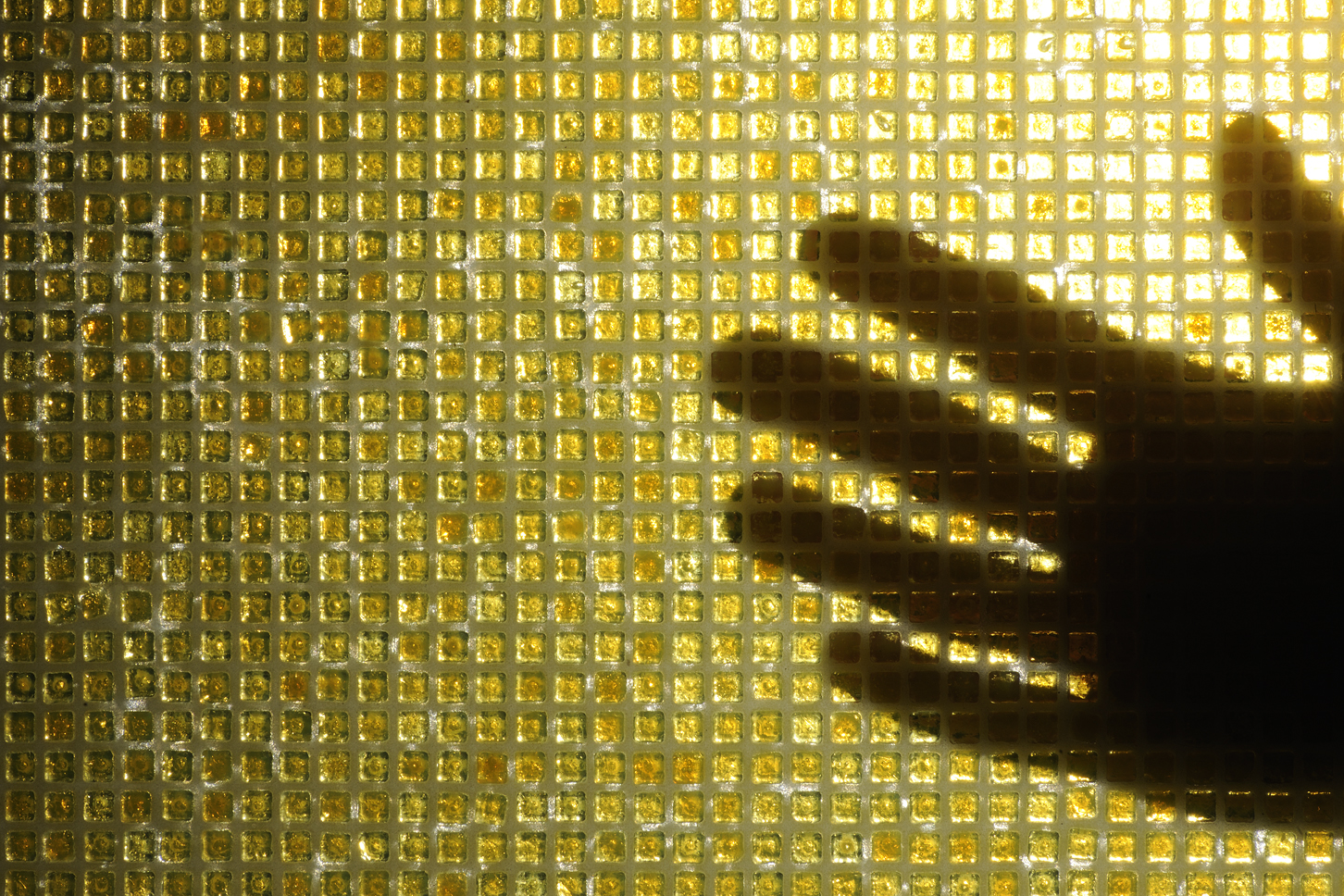 201210051113490.Img1806