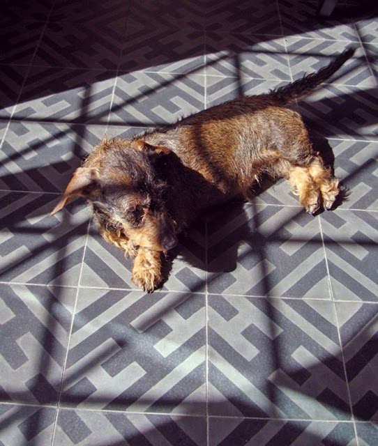 hicksonian-floor2
