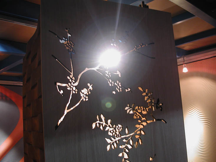 laserwall29